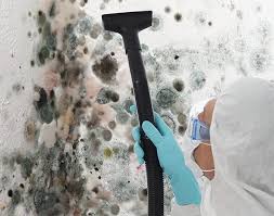 Best Comprehensive Air Testing for Mold Contaminants  in Sabetha, KS